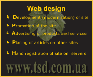 Web design, modernization, promotion, seo 